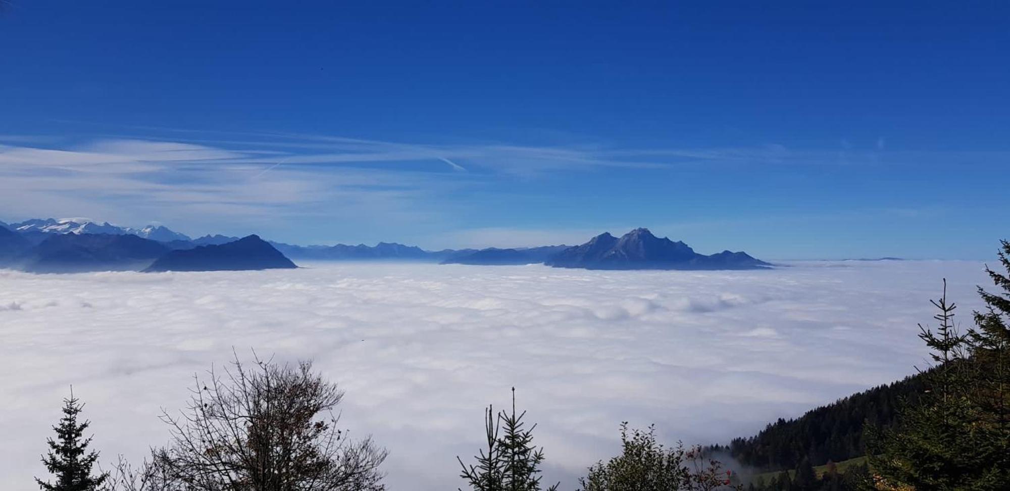 Villa Bootsmann Mit Spektakulaerer Seesicht Nahe Badestrand Vitznau Buitenkant foto