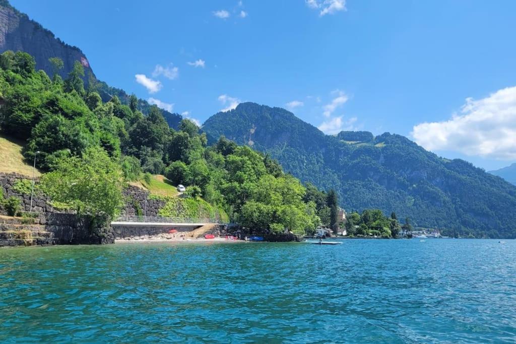 Villa Bootsmann Mit Spektakulaerer Seesicht Nahe Badestrand Vitznau Buitenkant foto